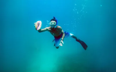 Snorkeling