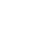 Watermark Icon _Wifi White (1)